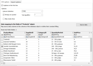 Full FlySpeed SQL Query screenshot