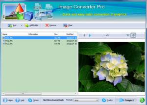 software - FPicsoft Free Image Converter 1.0 screenshot