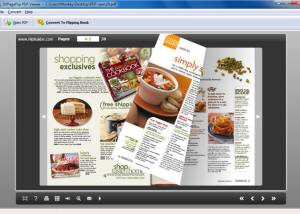 software - Free 3DPageFlip PDF Viewer 1.0 screenshot
