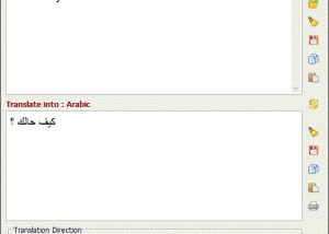 FREE English-Arabic Translator screenshot