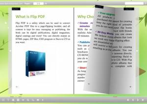 software - Free Flip Book Maker 1.0 screenshot