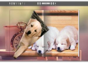 software - Free HTML5 Page Flip Brochure Publisher 2.9 screenshot