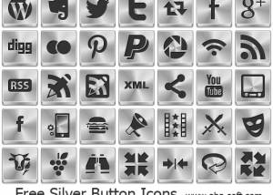 Free Silver Button Icons screenshot