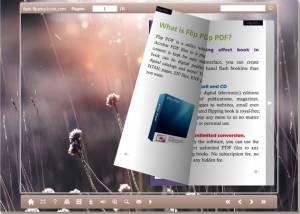 software - Free Txt To Flash Flipping Book 1.0 screenshot
