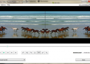 software - Free Video Flip and Rotate 1.1.35.831 screenshot