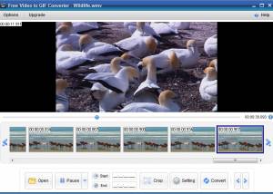 software - Free Video to GIF Converter 2 screenshot