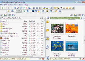 software - FreeCommander 2009.02 screenshot