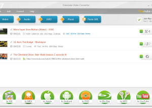 software - Freemake Video Converter 4.1.13 screenshot