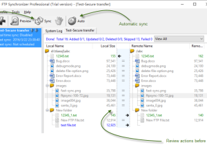 software - FTP Synchronizer Professional 8.5.320 screenshot