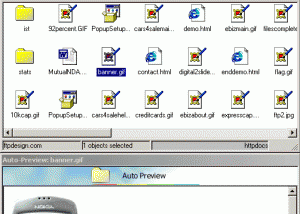 software - FTPDummy! 4.80 screenshot