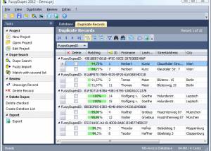 FuzzyDupes 2012 screenshot