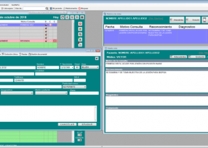 software - GesMePro 1.0 screenshot