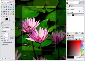 software - Gimp for x64 Windows 2.10.38 screenshot