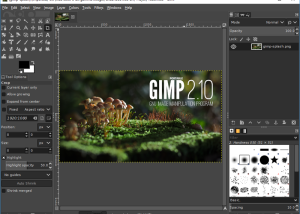 software - GIMP Portable 2.10.38 screenshot