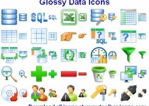 software - Glossy Data Icons 2013.1 screenshot