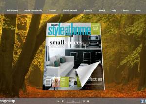 software - Golden Style Theme for 3D Book 1.0 screenshot