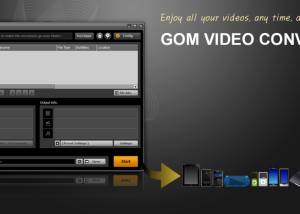 software - GOM Video Converter 2.0.1.9 screenshot