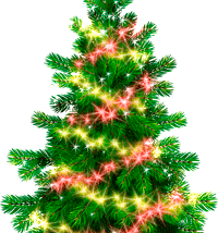 software - Green Christmas Tree 1.1 screenshot