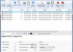 software - Hexonic PDF Numberer 1.0 screenshot