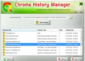 History Manager for Chrome screenshot