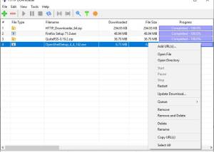 software - HTTP Downloader 1.0.6.4 screenshot