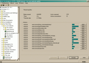 software - HTTrack Website Copier 3.49-2 screenshot