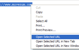 software - IE Open Selected URL 1.0.1.0 screenshot