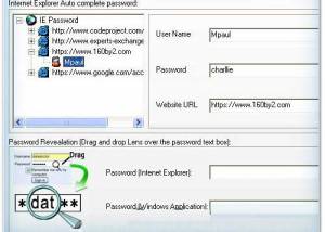 IE Passwords Unmask Software screenshot