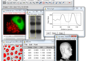 software - ImageJ 1.54i screenshot