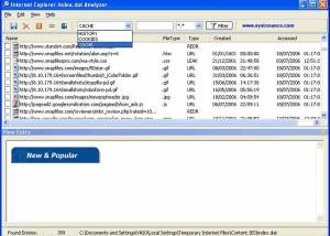 software - Index.dat Analyzer 2.5 screenshot