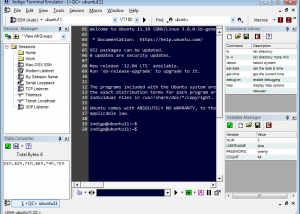 software - Indigo Terminal Emulator 3.0.161 screenshot