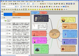 software - InfoRapid KnowledgeMap 2005e screenshot