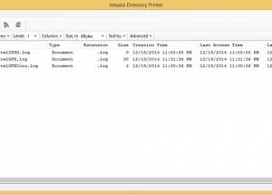 software - Intuwiz Directory Printer 1.01 screenshot