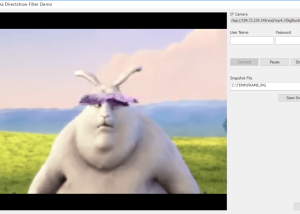 software - IP Camera Directshow Filter 2.0 screenshot