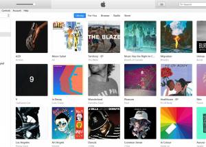 software - iTunes 12.13.5.3 screenshot