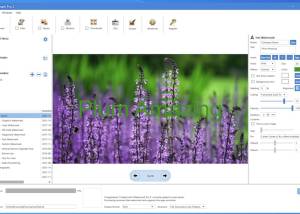 software - iWatermark Pro 2 for Windows 4.0.27 screenshot