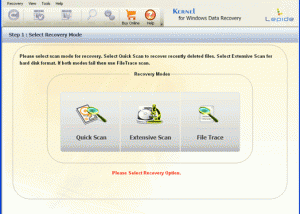 software - Kernel for NTFS - Data Recovery Software 4.03 screenshot