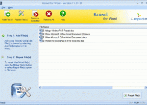 software - Kernel Word - Repair Corrupted Word Documents 11.01.01 screenshot