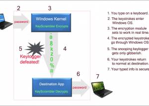 Full KeyScrambler Professional screenshot