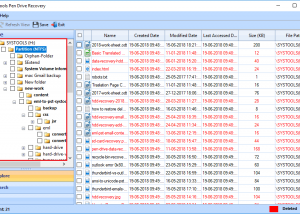 software - Kingston Pen Drive Data Recovery 10.0 screenshot