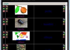 L.A. Flash Cards screenshot