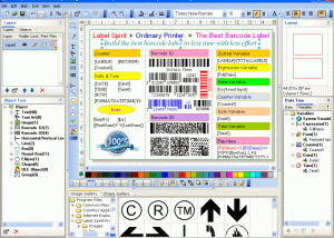 software - Label Spirit Starter 7.0 Build 7.0.30 screenshot