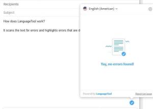 Full LanguageTool for Chrome screenshot