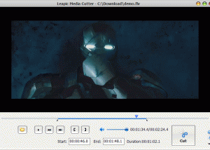 software - Leapic Media Cutter 8.0 screenshot