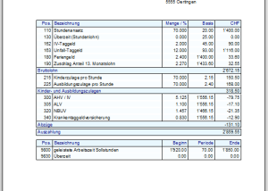 Lohnabrechnung Lohn 2024 screenshot