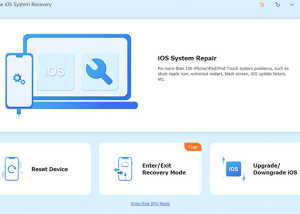 software - MagFone iOS System Recovery for Windows 1.0.0 screenshot