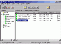 software - Magic Recovery Professional 3.5 screenshot