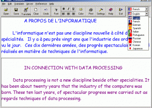 software - Magic Translator 8.31 screenshot