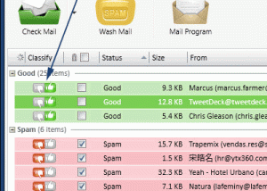 Full MailWasher Free screenshot