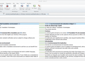 Full memoQ screenshot